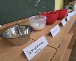 20260324 091338 MEDIUM