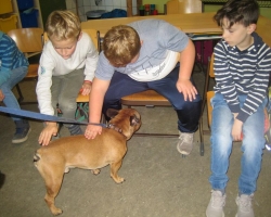 3a Neuigkeiten017