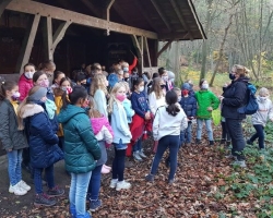 Wasser Exkursion006