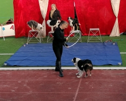 Zirkus Antoni004