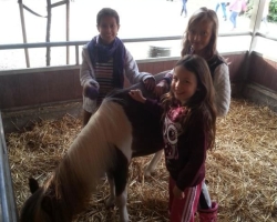 Unsere Klasse 4b besucht den Hötzenhof